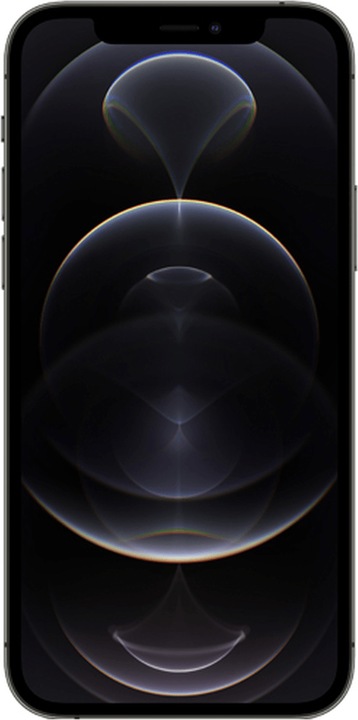 Actual product image Forza Refurbished iPhone 12 Pro (256 GB, Graphites, 6.10", 12 Mpx, Dual SIM, B / Very good)