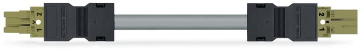 Actual product image Wago Confectionery connecting cable (2 m)