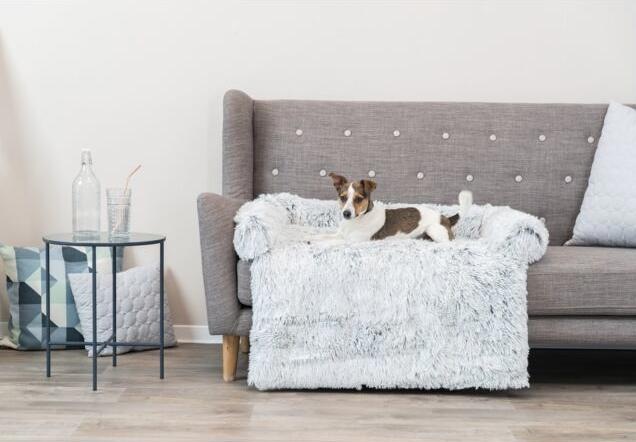 Image du produit Trixie Harvey (Chien)