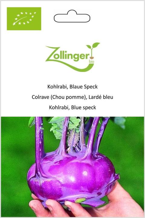 Produktbild Zollinger Bio Kohlrabi, Blaue Speck (Keimlinge)
