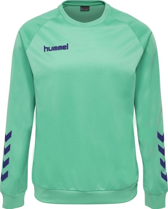 Image du produit hummel Promo Kids Poly Sweatshirt (164)