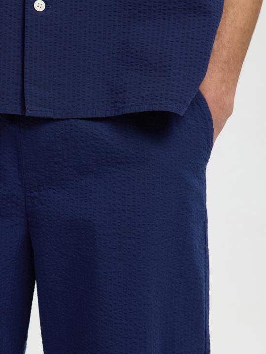 Image du produit Selected Regular Fit Seersucker Shorts (M)