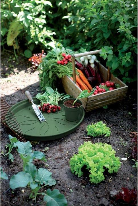 Actual product image Elho Green Basics