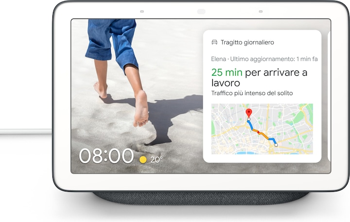 Google Nest Hub (Google Assistant)