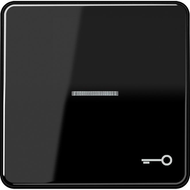 JUNG, Zubehör Schalterprogramm, Kontrollwippe Schalter CD sw glz CD590KO5TSW