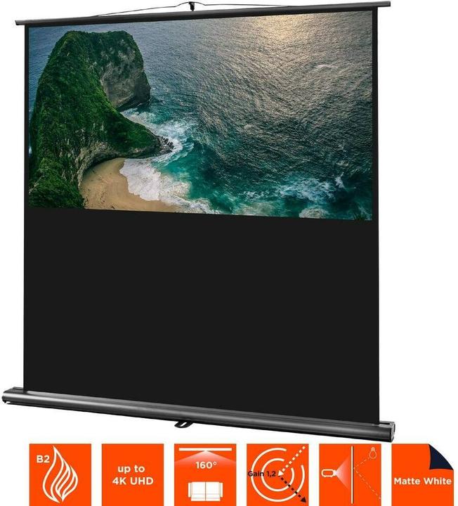 Actual product image Celexon Ultramobile Professional (91", 16:10)