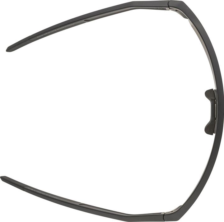 Actual product image Alpina Ram HR Q-Lite (Black mint mat, Q-Lite Green Mirror Cat. 3)