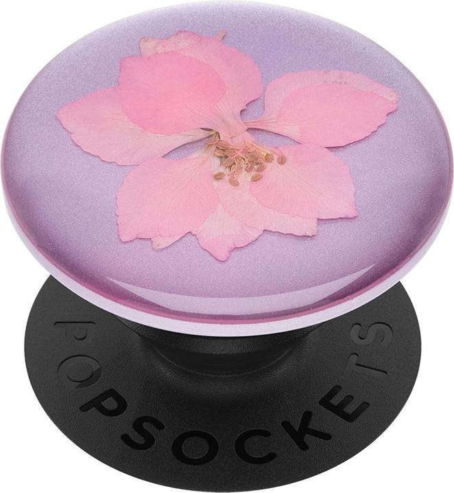 Actual product image PopSockets Pressed Flower