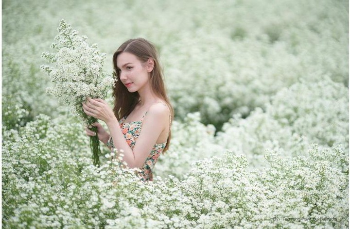 Produktbild TTArtisan 90mm f/1.25 X1D (Hasselblad X, Vollformat)