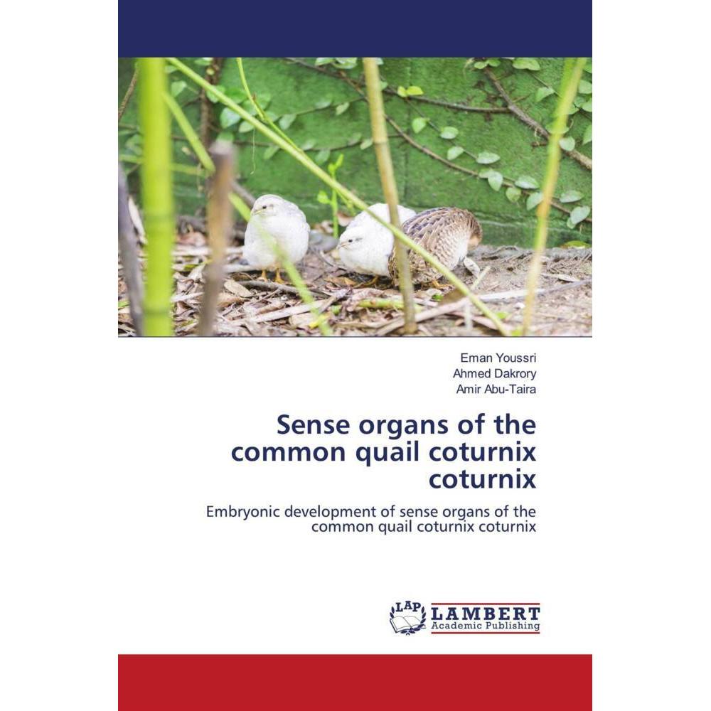 Sense organs of the common quail coturnix coturnix, Fachbücher von Ahmed Dakrory, Eman Youssri, Amir Abu-Taira