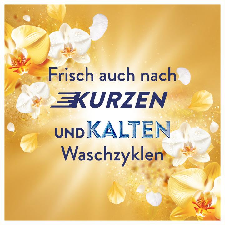 Actual product image Lenor Goldene Orchidee Flasche - 1827ml Weichspüler 87 WL (87 Washing cycles, Liquid detergent)