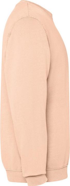 Produktbild Alpinia Jaya Sweatshirt Rundhalsausschnitt (XS)