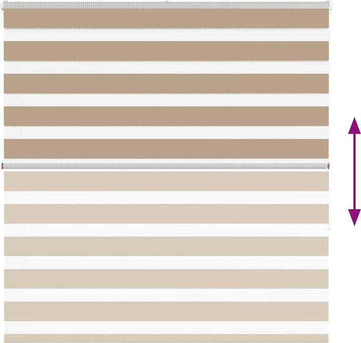 Produktbild vidaXL Zebra-Jalousie (150 x 150 cm)
