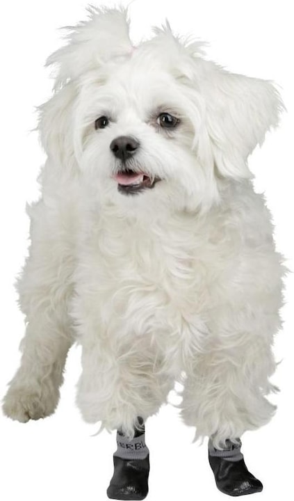 Immagine prodotto Kerbl Susi calzino per cani (M, Calzini per cani)