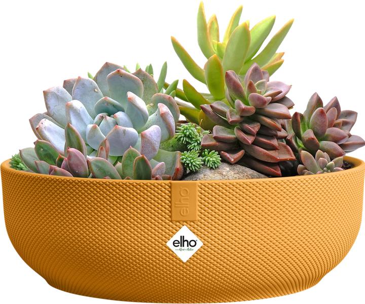 Produktbild Elho Jazz Bowl (28 x 9 cm)