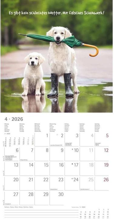 Produktbild Alpha Edition Funny Animals 2026