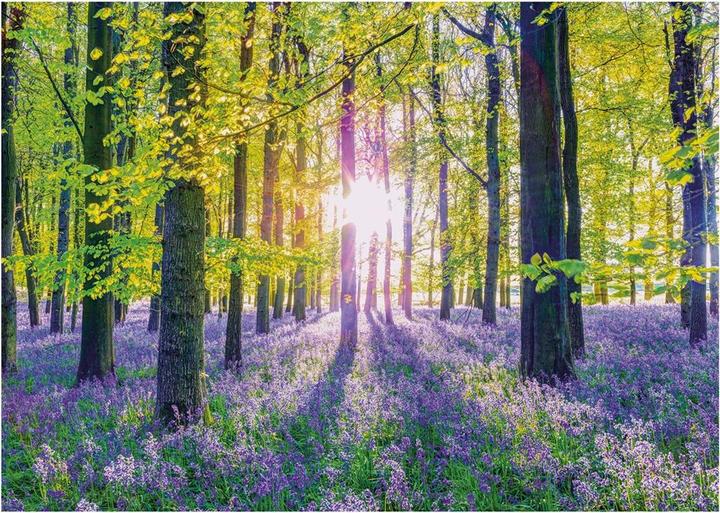 Immagine prodotto Schmidt Spiele Delicate campanule nella foresta 1000 pezzi (1000 pezzi)