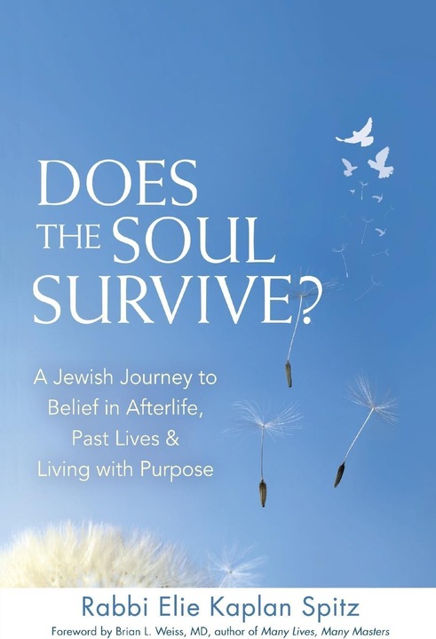 Does the Soul Survive? 2/E: A Jewish Journey to Belief in Afterlife, Past Lives & Living with Purpos (English, Elie Kaplan Spitz, 2015)