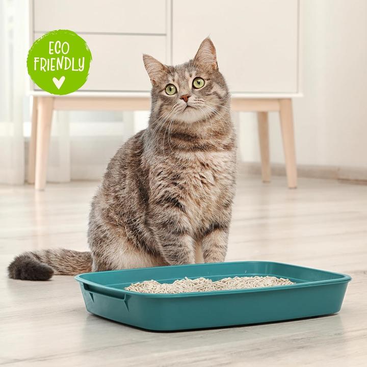 Immagine prodotto Cat&rina BeNatural Lettiera per Gatti in Tofu (Biodegradabile, Raggruppamento)