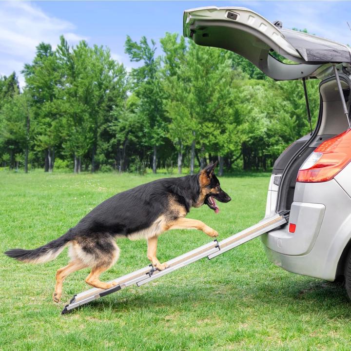 Actual product image Priopret Hunderampe (Dog)
