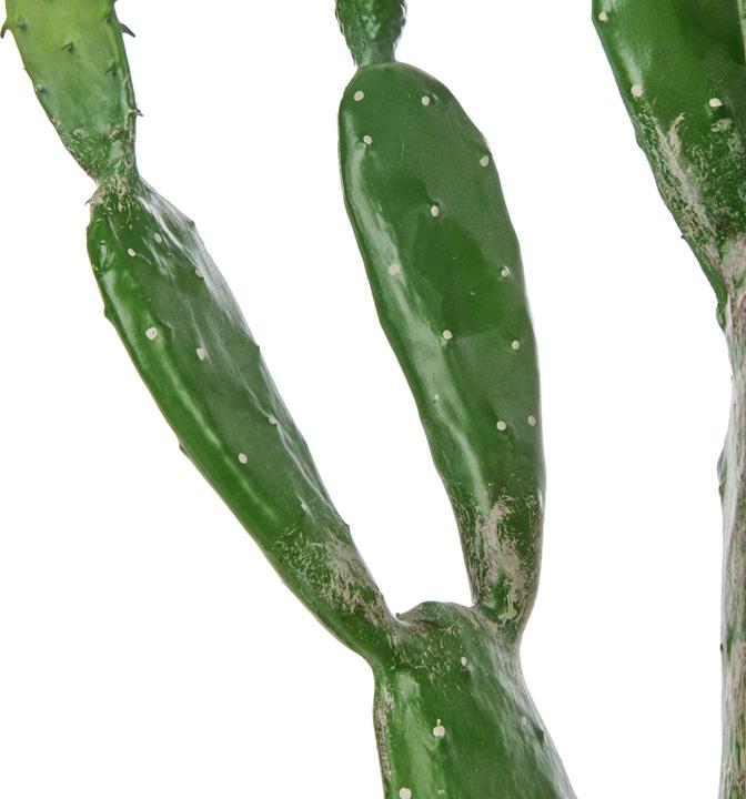 Produktbild Beliani Opuntia Cactus (150 cm)