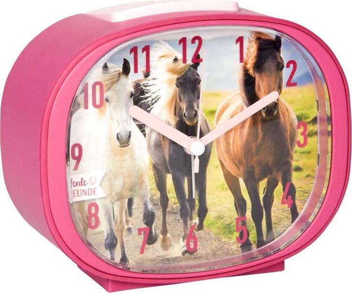 Produktbild Die Spiegelburg Pferdefreunde