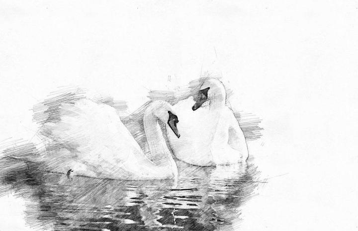 Produktbild Clairefontaine Zeichenblock (A4, Blanko)