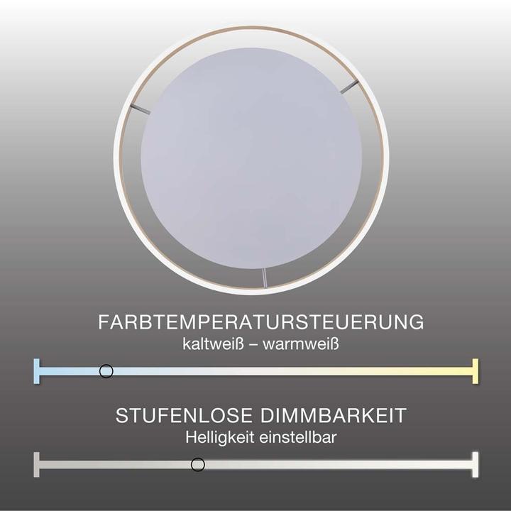 Immagine prodotto Q-Smart Q-VITO (4000 lm)