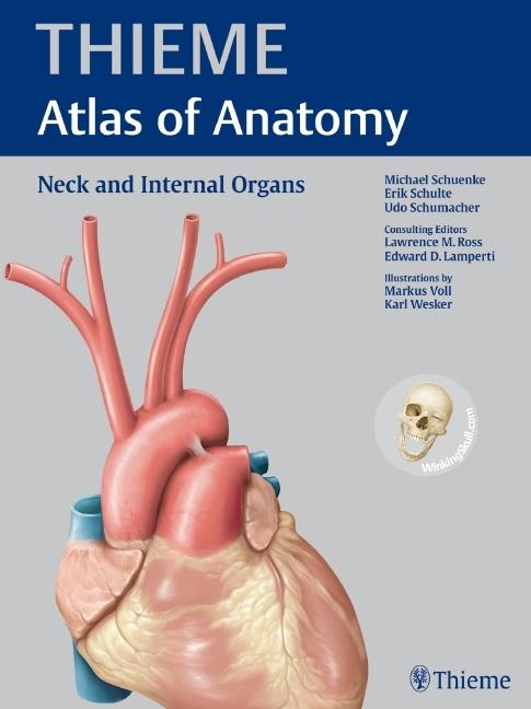 Produktbild Neck and Internal Organs (Englisch, 2010)