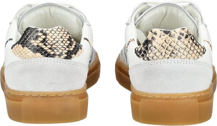 Immagine prodotto Pavement Sneaker (40)