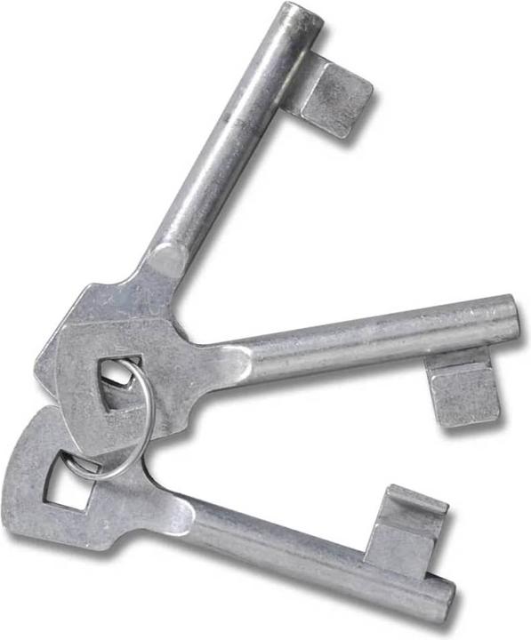 Produktbild vidaXL Zauntor