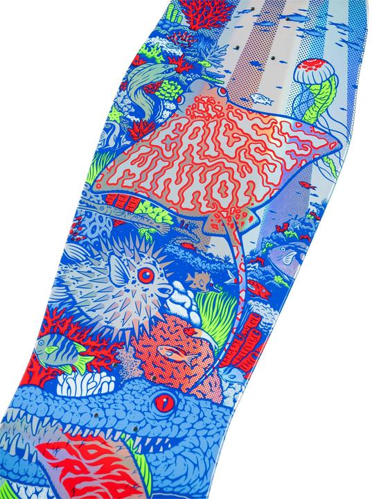 Produktbild Santa Cruz Aquatic (10.34")