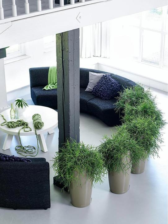 Immagine prodotto Lechuza Rondo (40 x 75 cm)