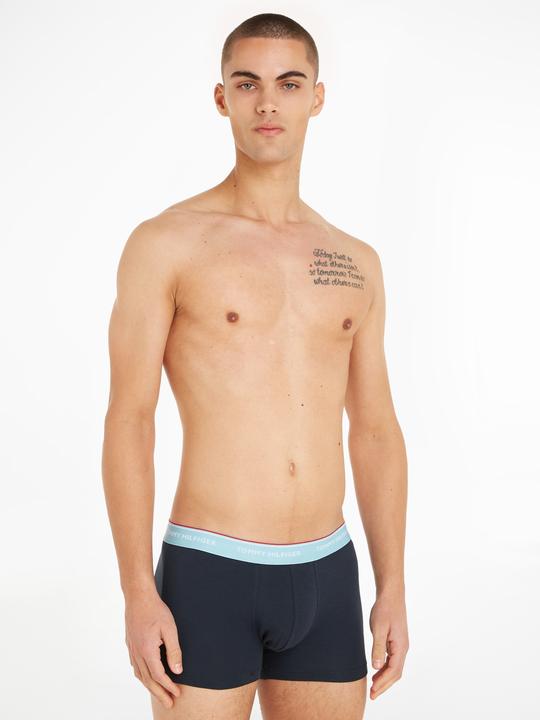 Image du produit Tommy Hilfiger Trunk WB (L)