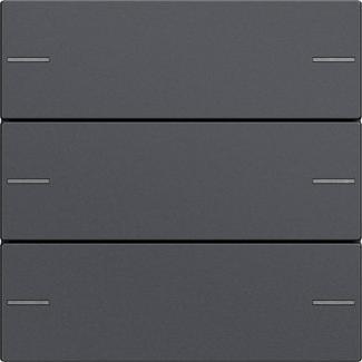 Actual product image Gira Rocker set