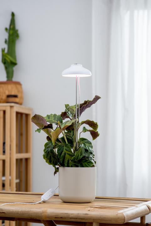 Image du produit Airam Iris -kasvivalo, IP20,, 240 lm, valkoinen