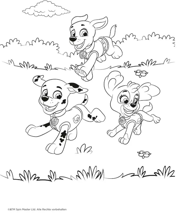 Actual product image Paw Patrol