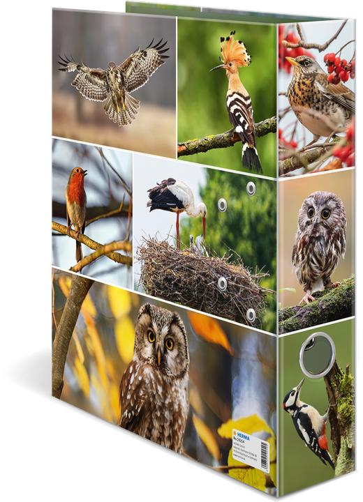 Actual product image HERMA A4 folder motif (A4, 70 mm, 1 Piece)