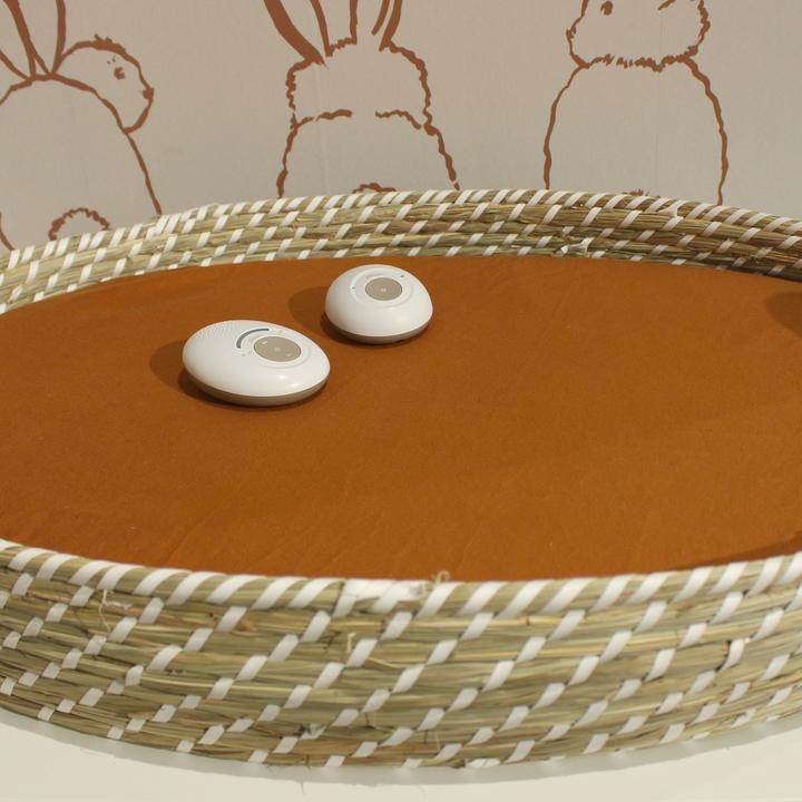 Actual product image Alecto DBX110BE (Baby Monitor Audio, 300 m)