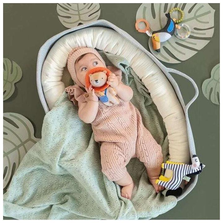 Produktbild Taf Toys Dizi das Zebra