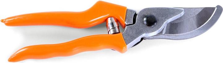 Image du produit Fuxtec Sécateur Basic 20 cm