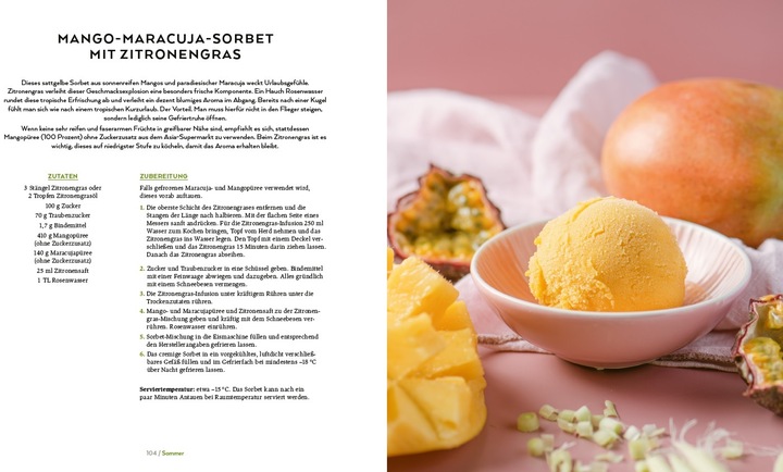 Actual product image Die vegane Eis-Bibel (German, Lucy Allary, 2023)