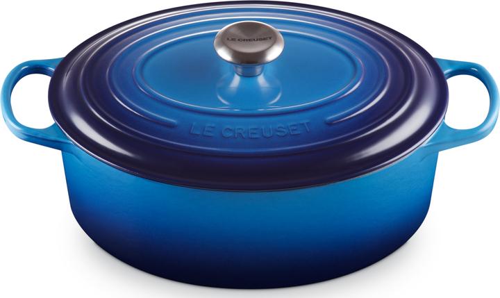 Le Creuset Azure (31 cm, Bräter + Schmortopf, Emaille)