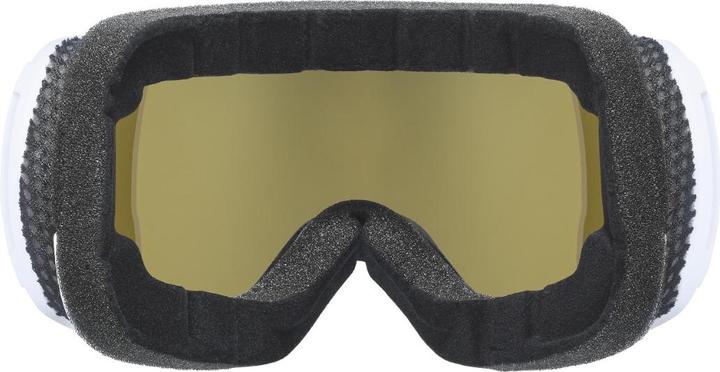 Actual product image Uvex Sports Women's Downhill 2100 CV Mirror S2 (VLT 20%)