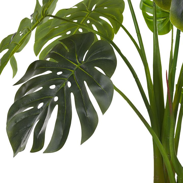 Immagine prodotto Beliani Monstera Plant (113 cm)
