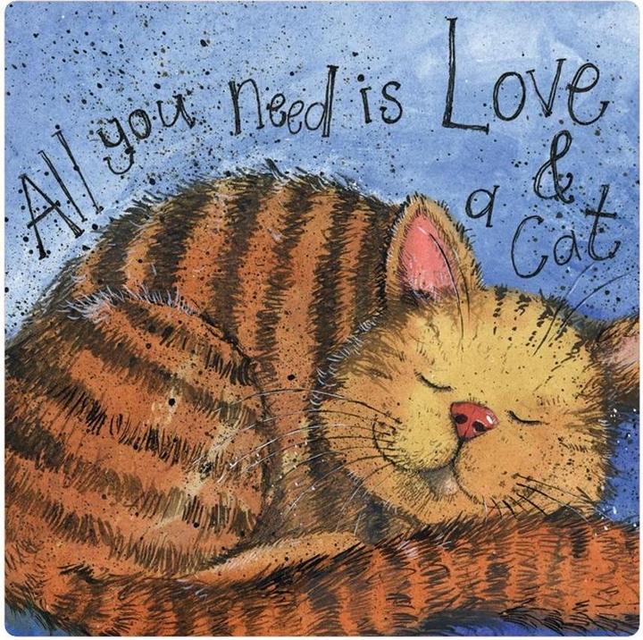 Teka Magnet FM223 Liebe und eine Katze (1x)