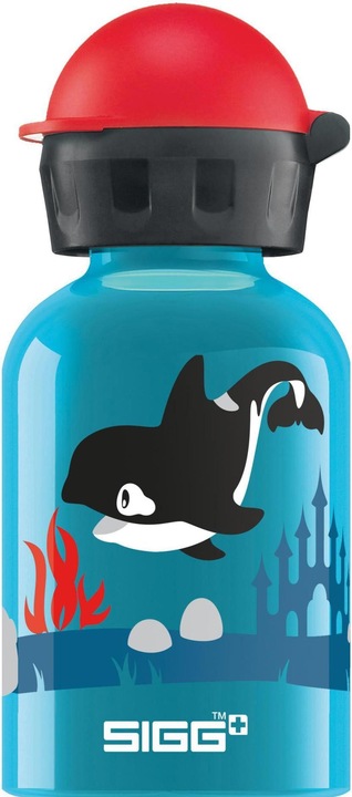 Sigg Kbt (0.30 l)