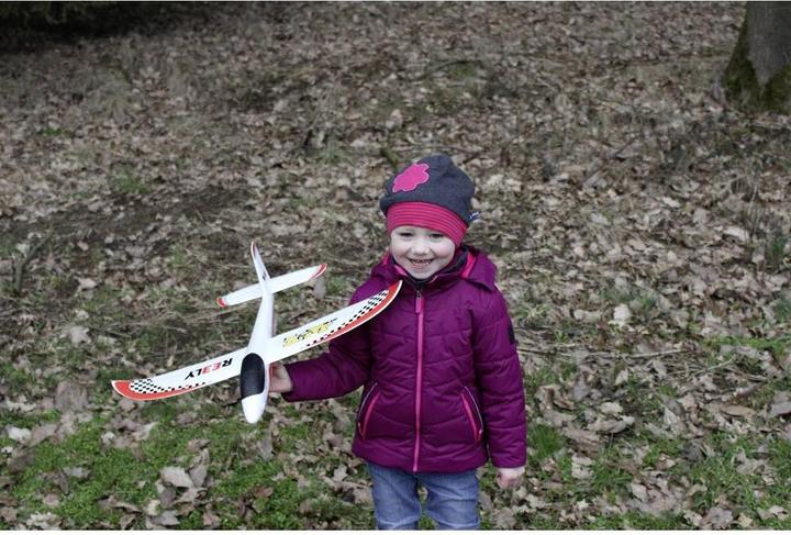 Produktbild Reely Zylinderstift (Ø x L) 12 mm x