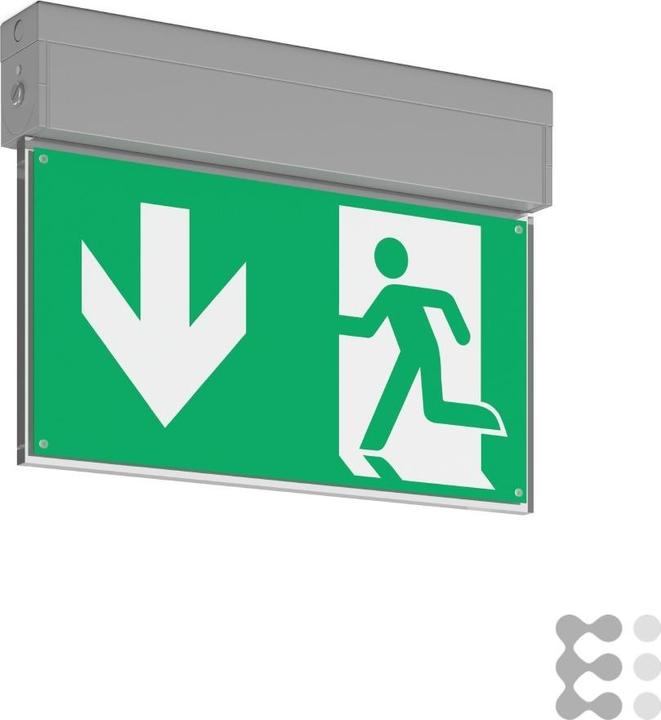 Actual product image RZB LED emergency light