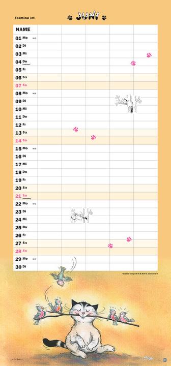 Actual product image Heye Familienplaner (21 x 45 cm)